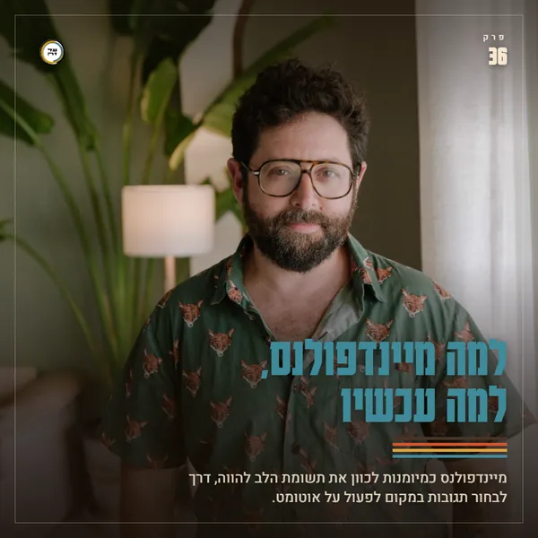 למה מיינפדולנס, למה עכשיו