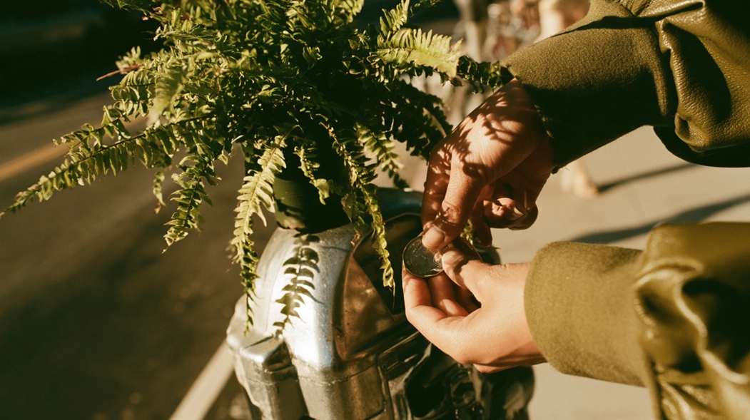 ללכת לאיבוד בחניון